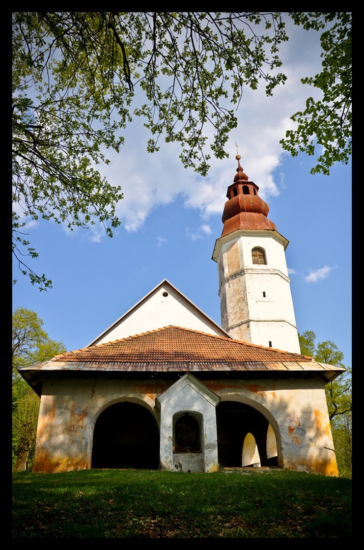 Žeželj by Katarina Pavlakovič