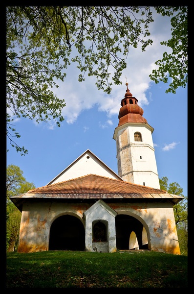 Žeželj by Katarina Pavlakovič