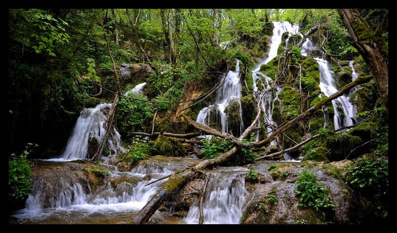 Slovenian jungle by Katarina Pavlakovič