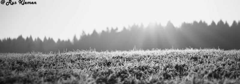Early morning by Klemen Rus