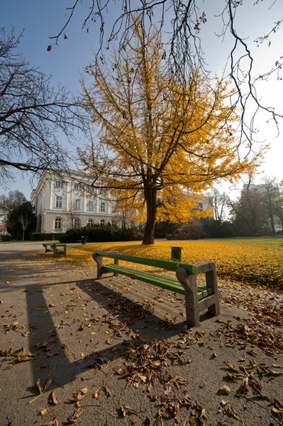 Autumn by Igor Ribič