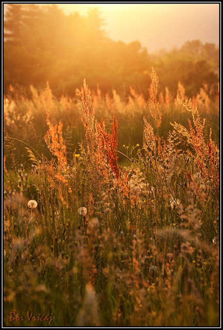 Impresija, sončni zahod by Bor