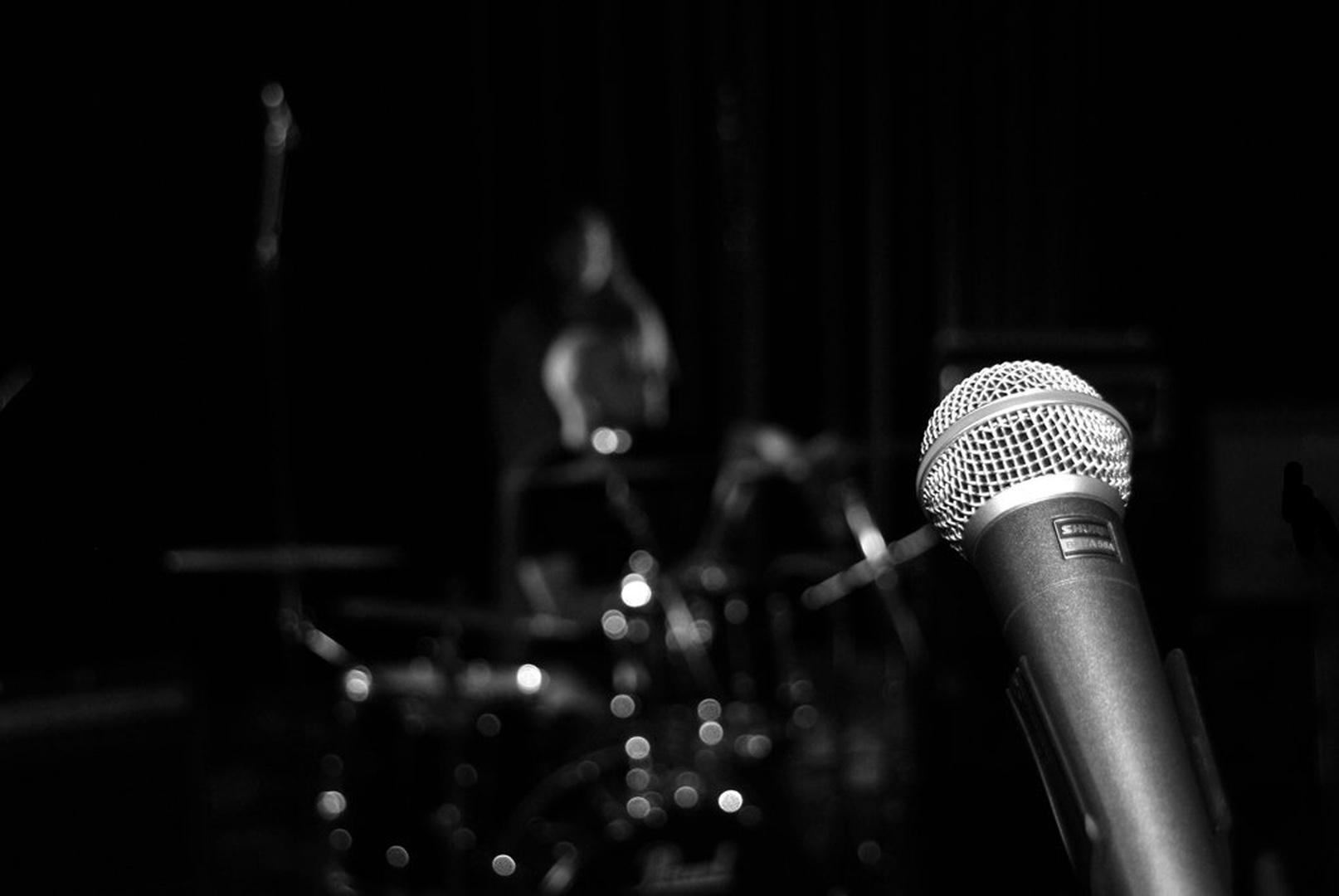 Microphone by Matej Hočevar