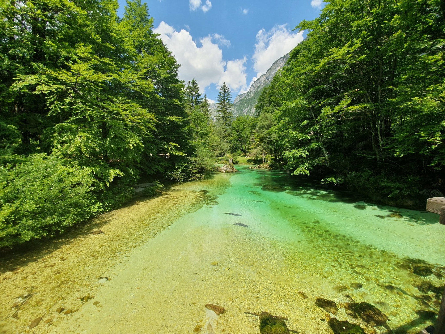 Bohinj by Marko Pekolj