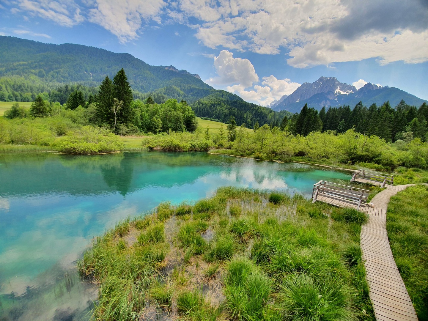 Zelenci,Kranjska Gora by Marko Pekolj