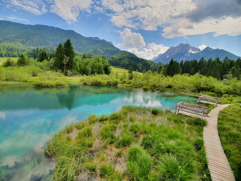 Zelenci,Kranjska Gora by Marko Pekolj