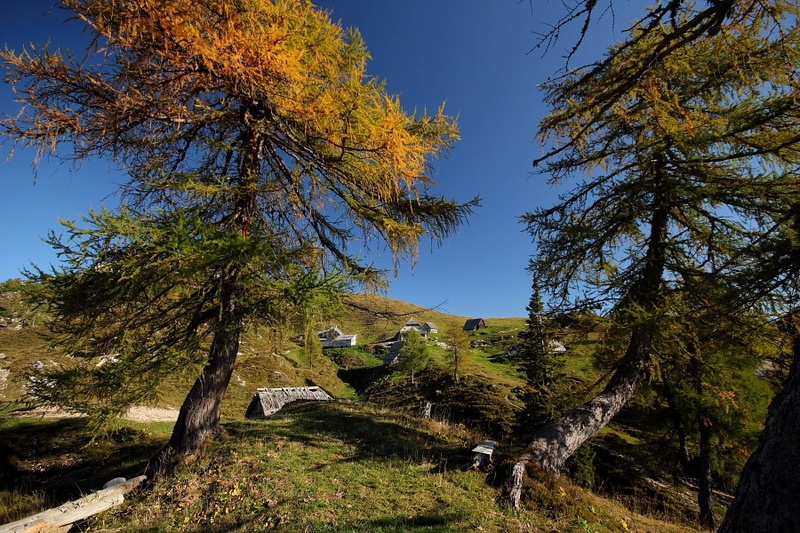 Planina Krstenica by Boštjan Peterka