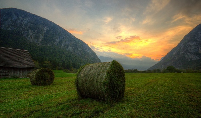 Košnja v Bohinju by Boštjan Peterka