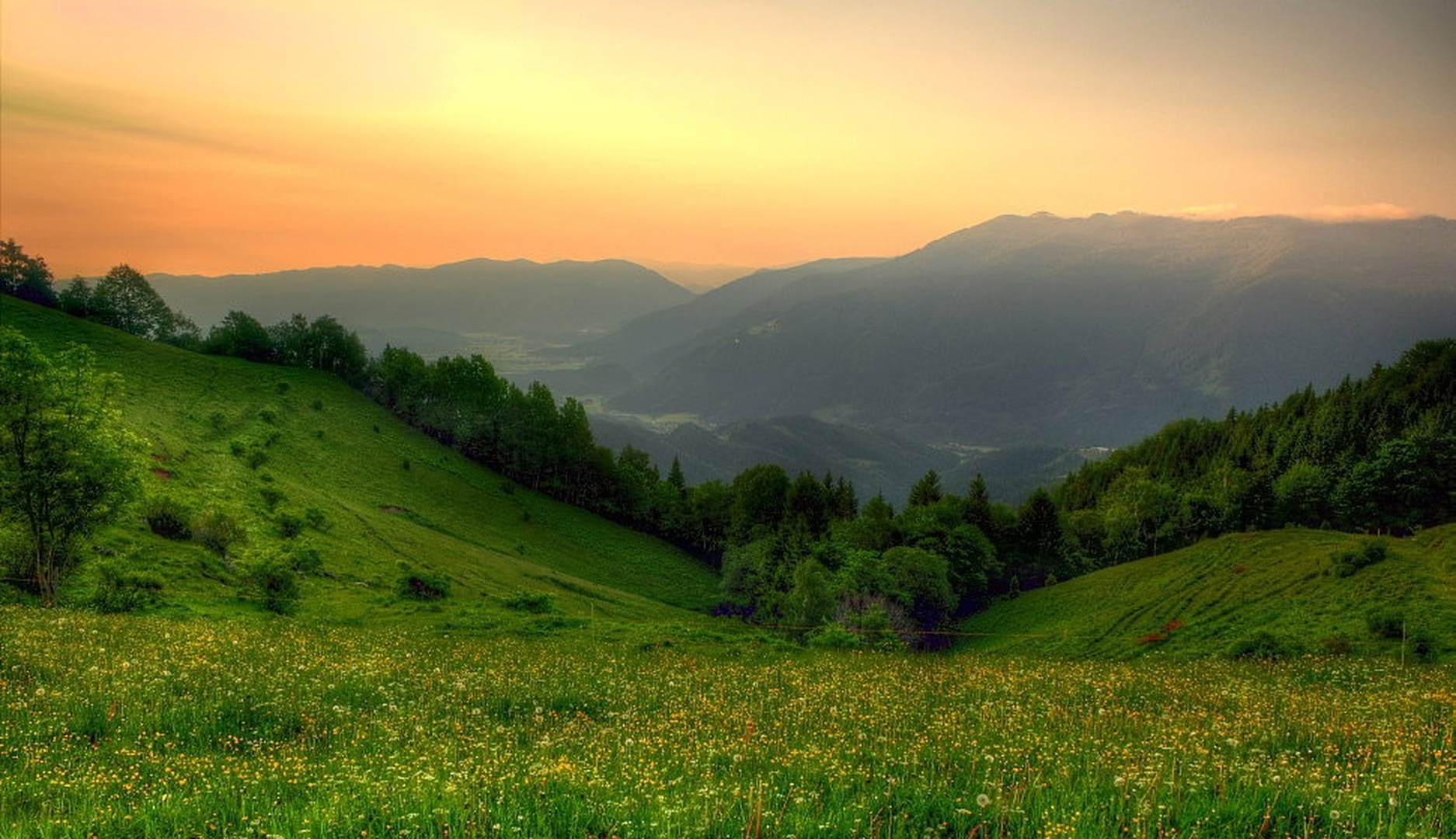 Planina Zgornji Špeh by Boštjan Peterka