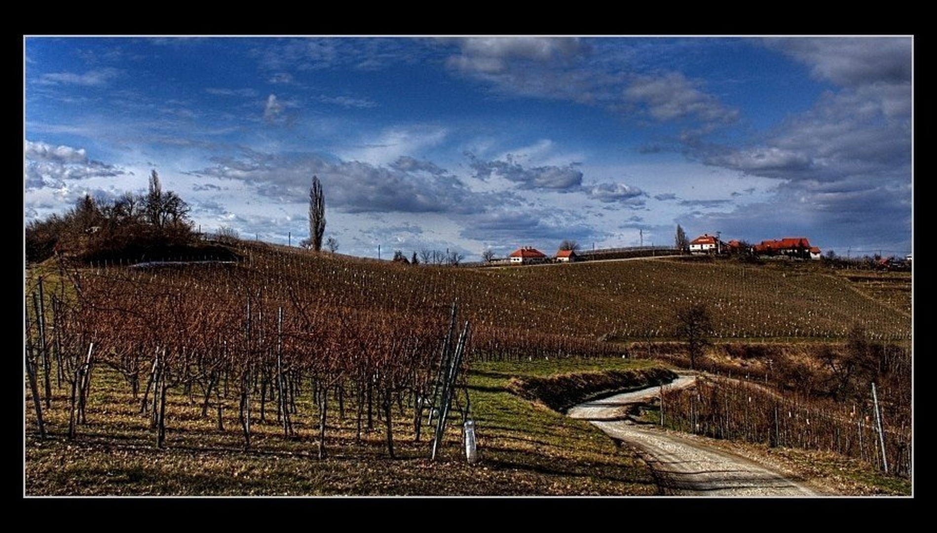 Ljutomersko Ormoške gorice by Boštjan Peterka