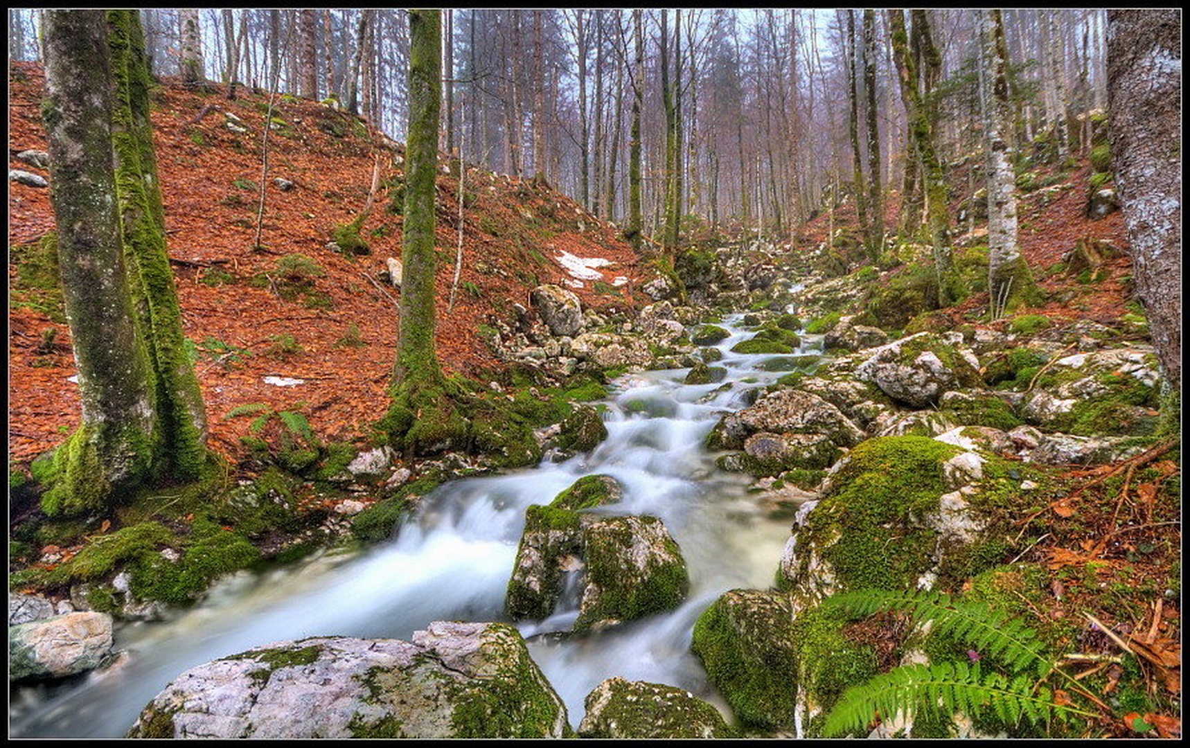 Jutranje brzice by Boštjan Peterka