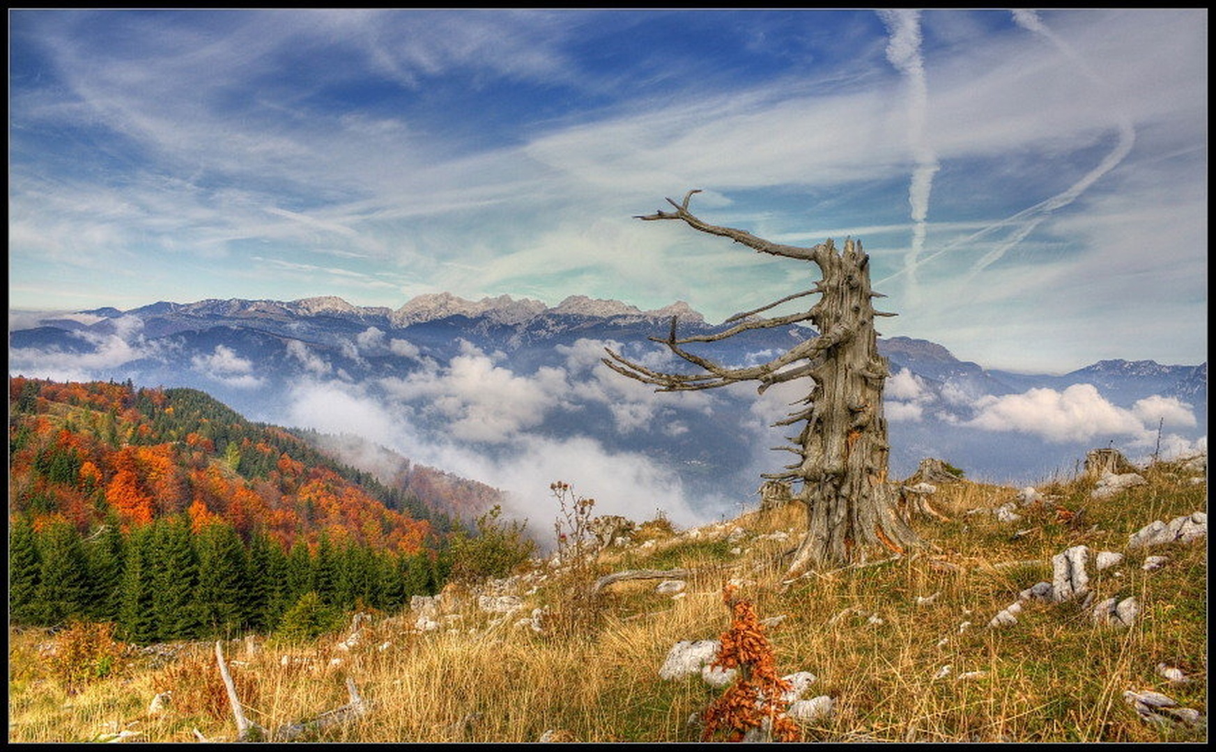 Jesenski razgled 2 by Boštjan Peterka