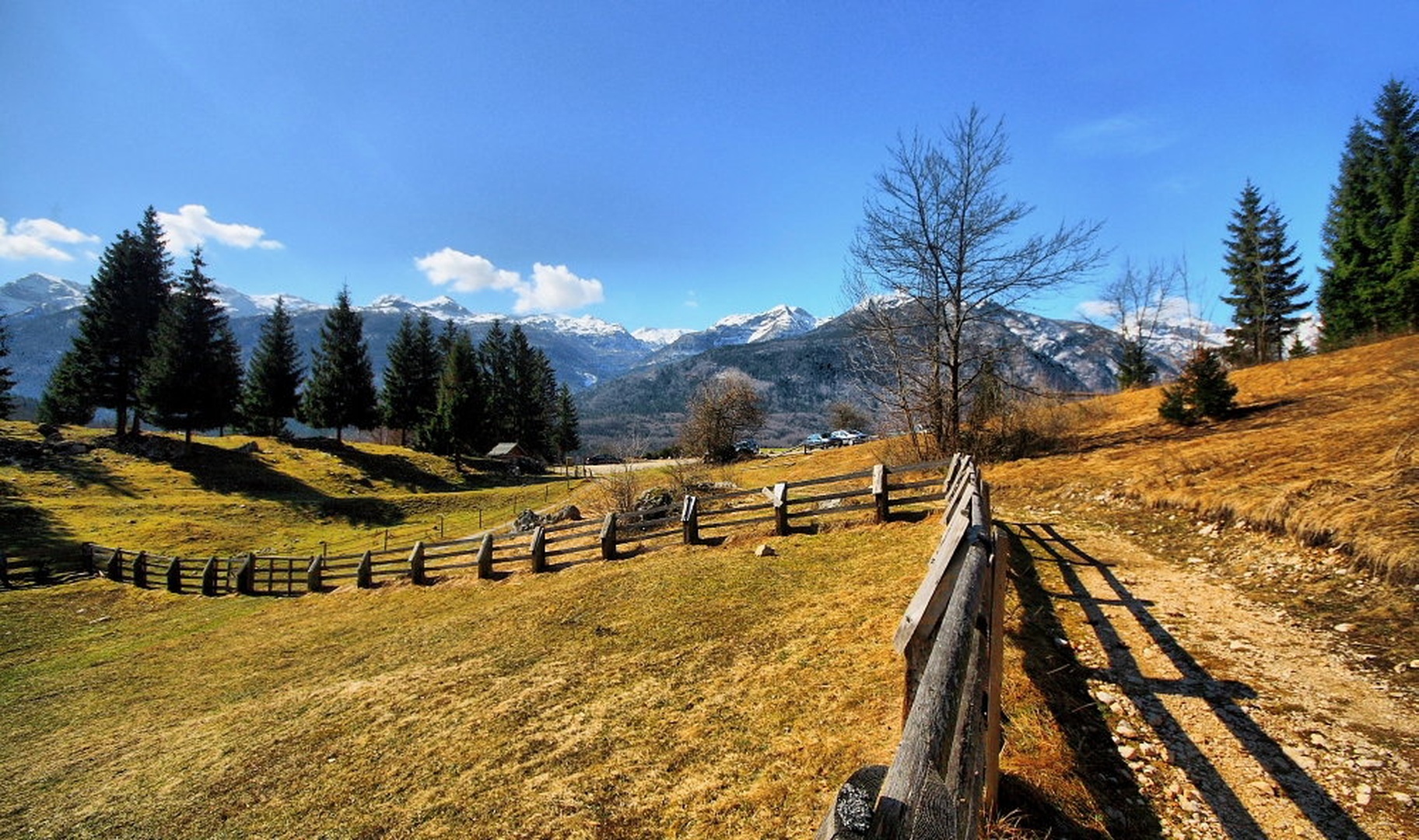 Pašnik na Bohinjskem by Boštjan Peterka