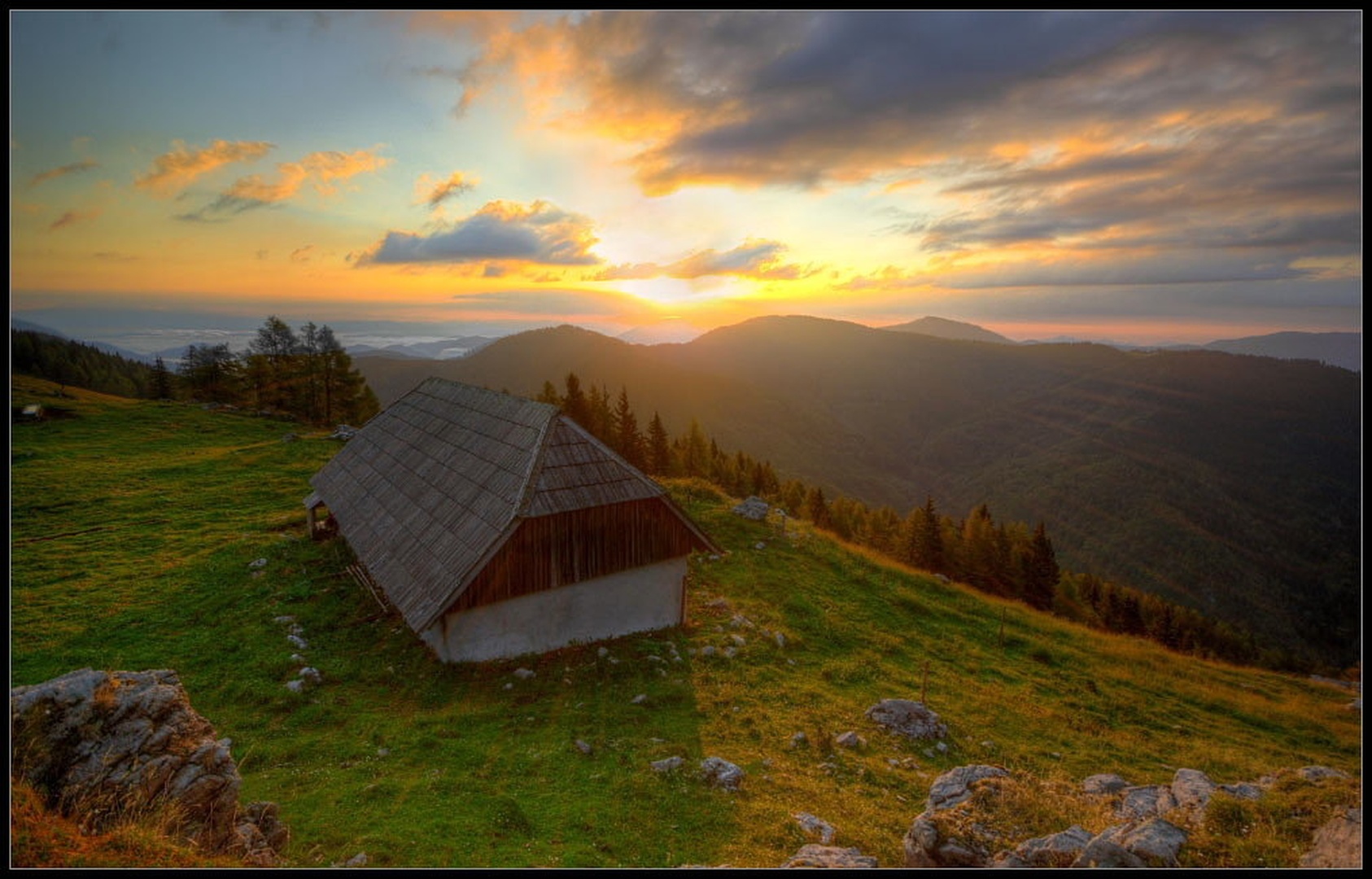 Kjer kravce spančkajo by Boštjan Peterka