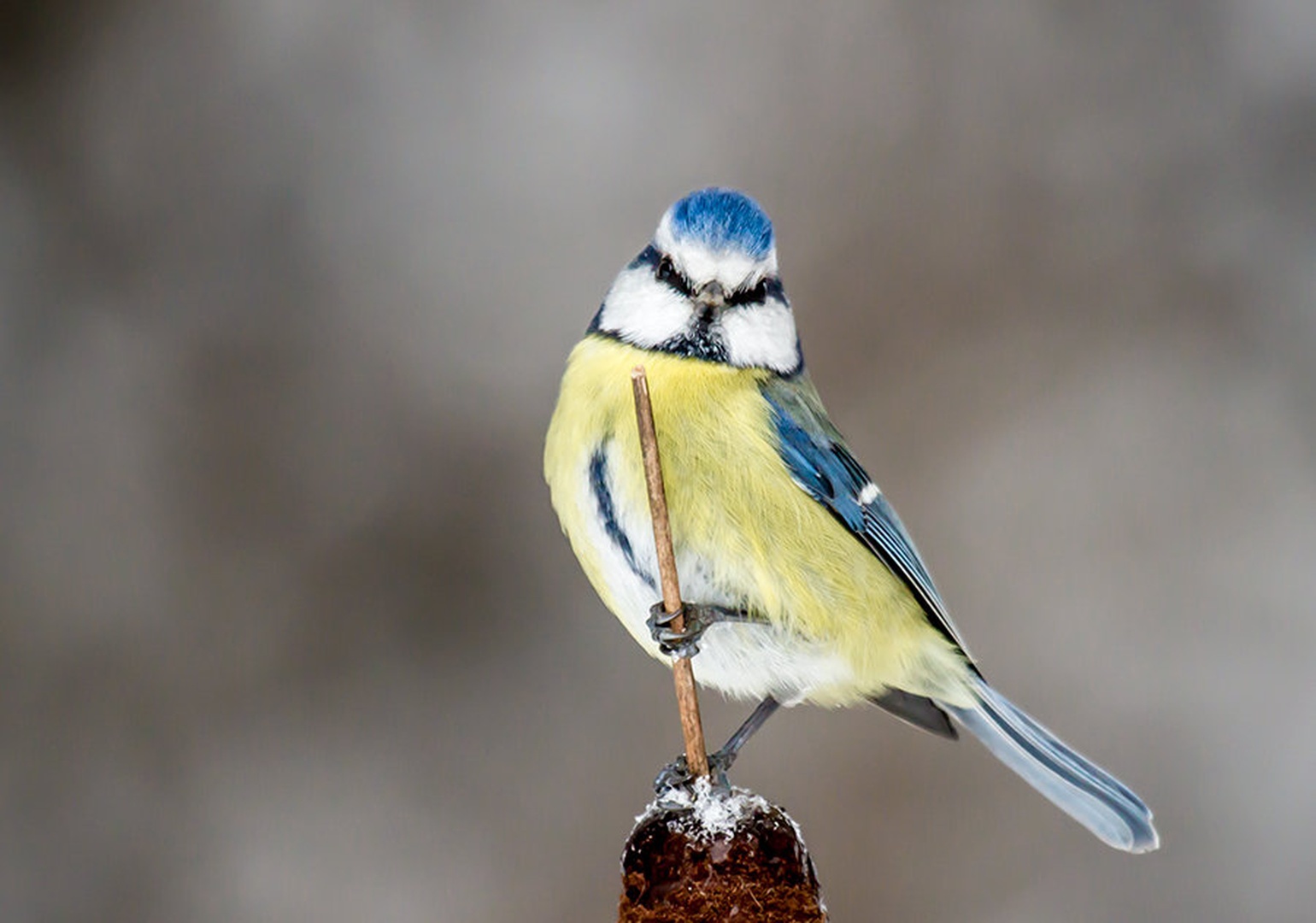 Only for your eyes by Markus