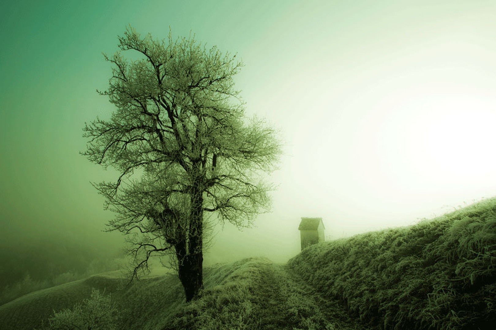 Znamenje by Markus