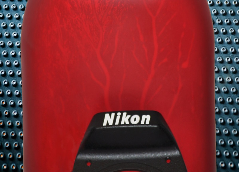 DREVJE, PLASTIKA , NIKON by Vlado Žiher