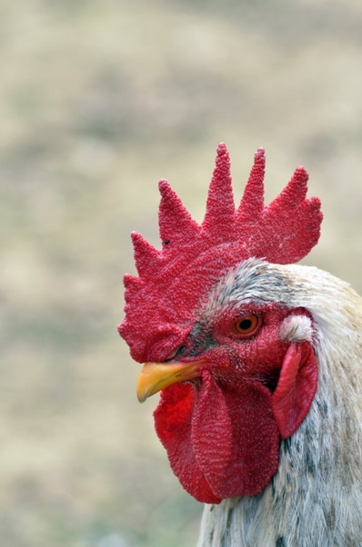 I´m watching you by Vlado Žiher