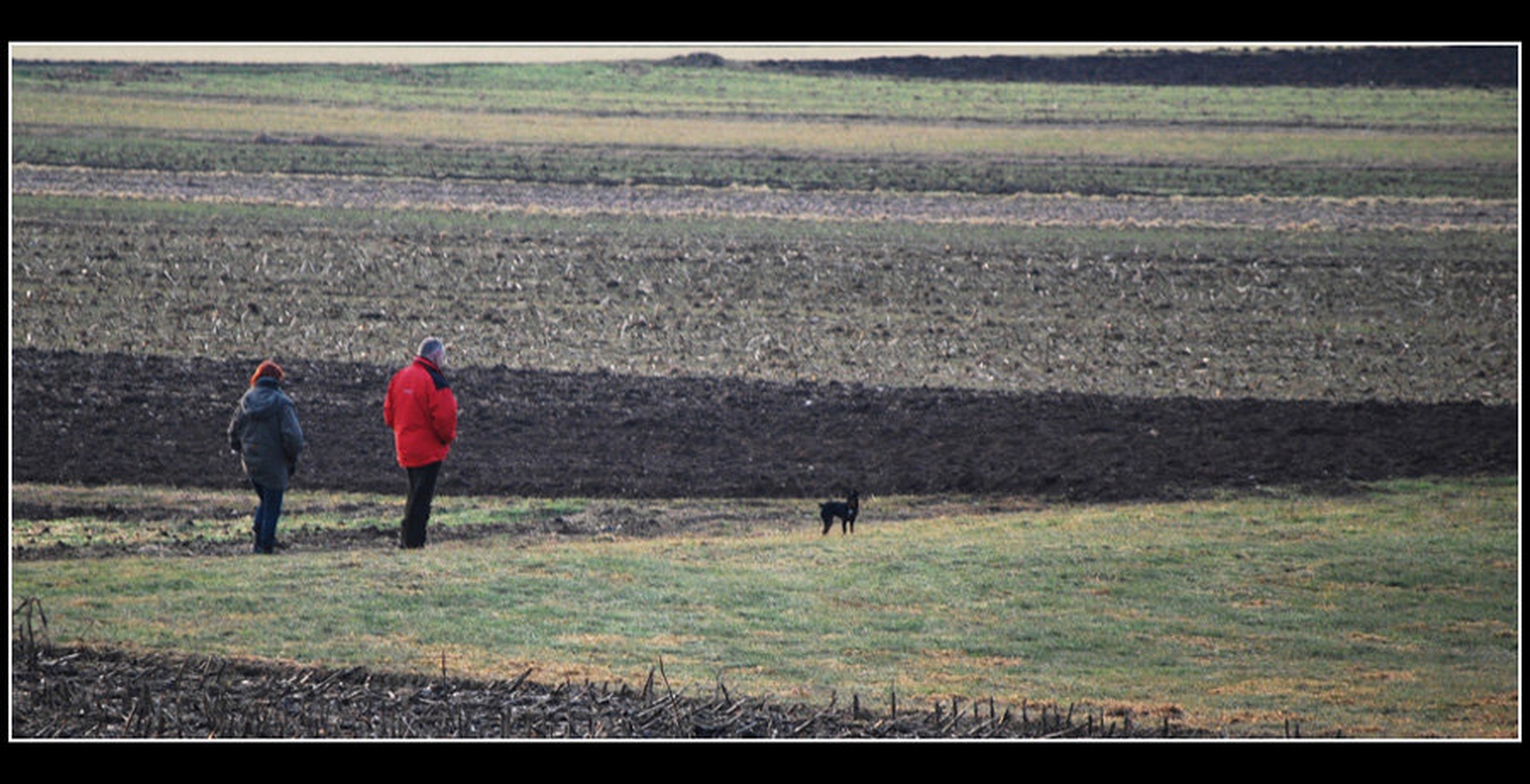 Sprehod by Andreja Šušteršič