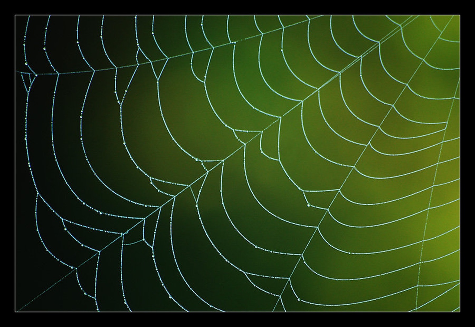 Geometrija by Andreja Šušteršič