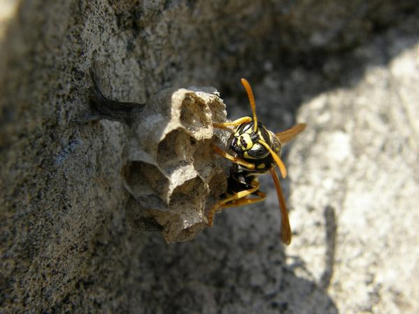 I`m watching you by ožbe šteblaj