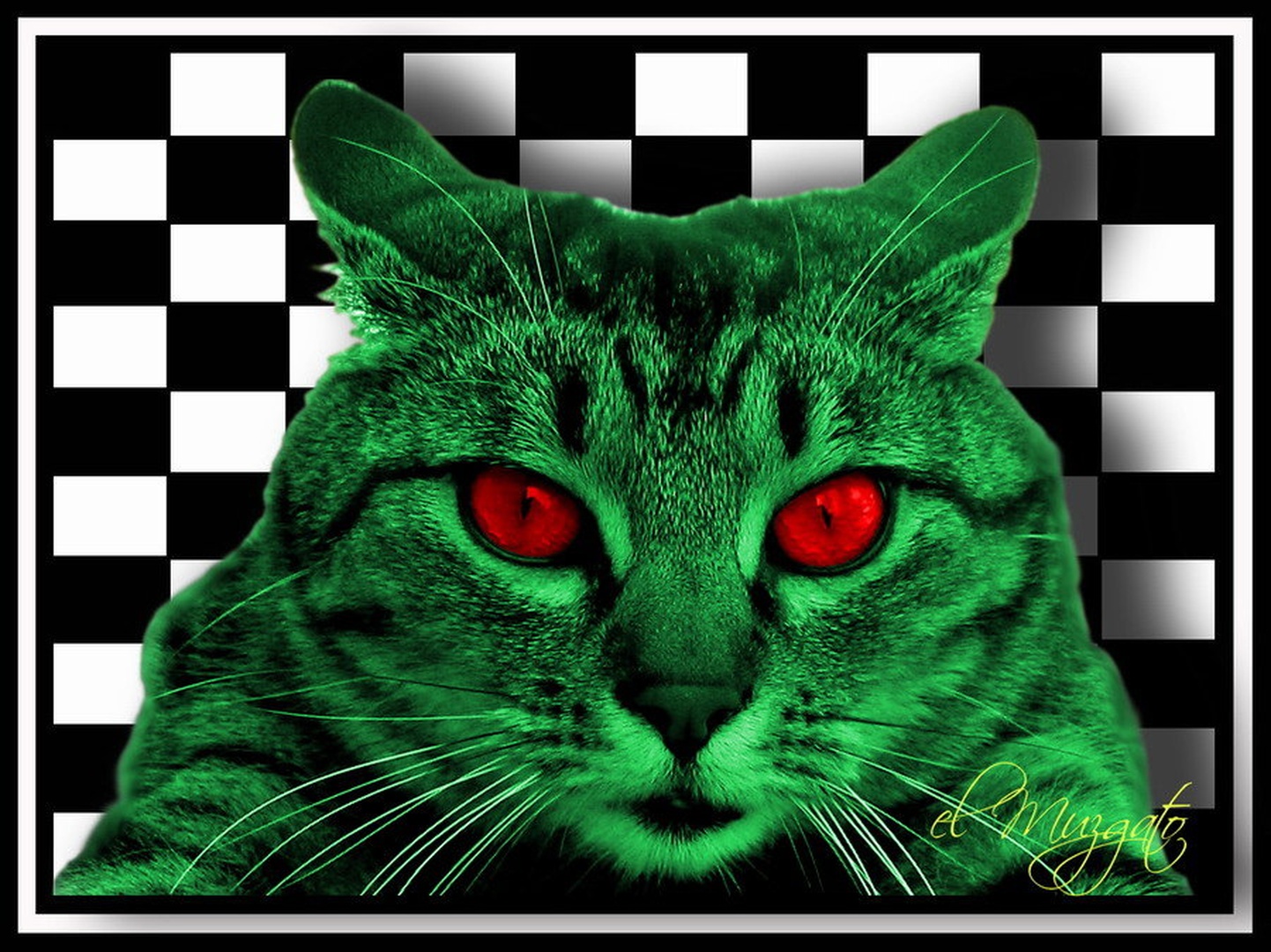 el muzgato hipnotic by