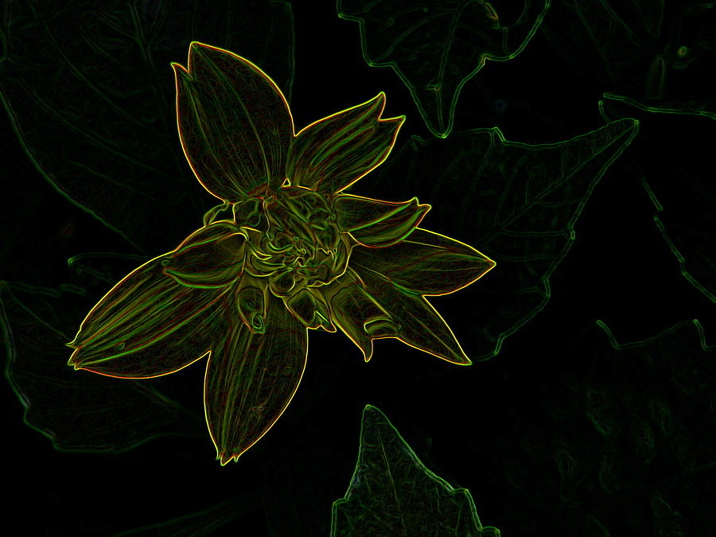 digital flower by