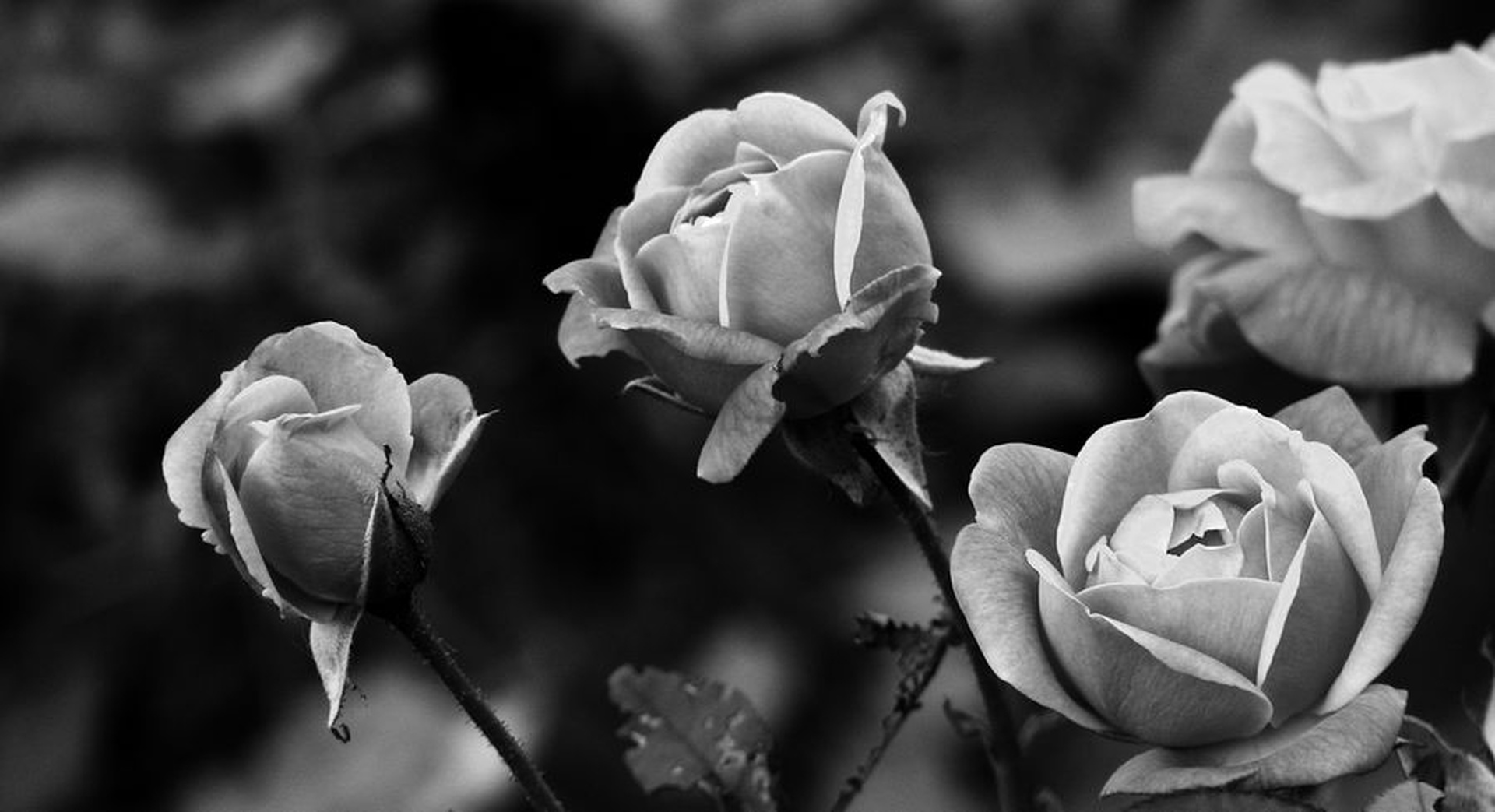 rest at peace by