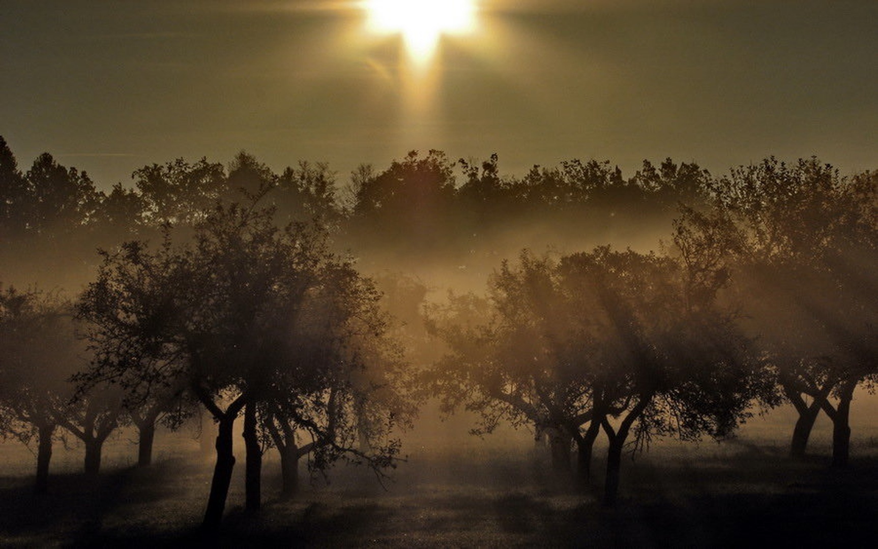 Twilight Zone by