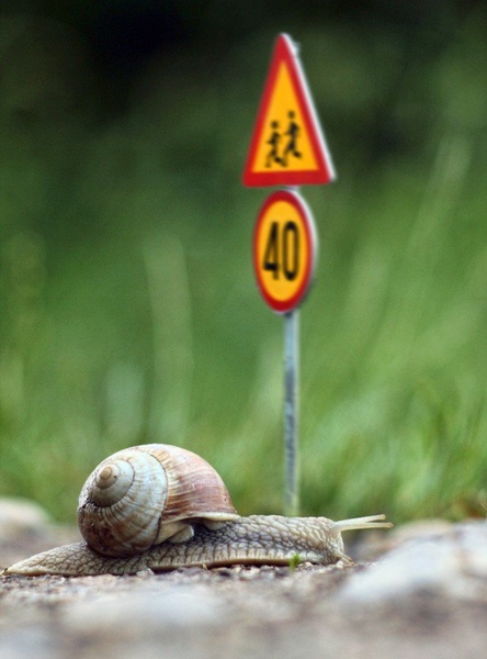 90 miles per hour is a speed I drive by svarog