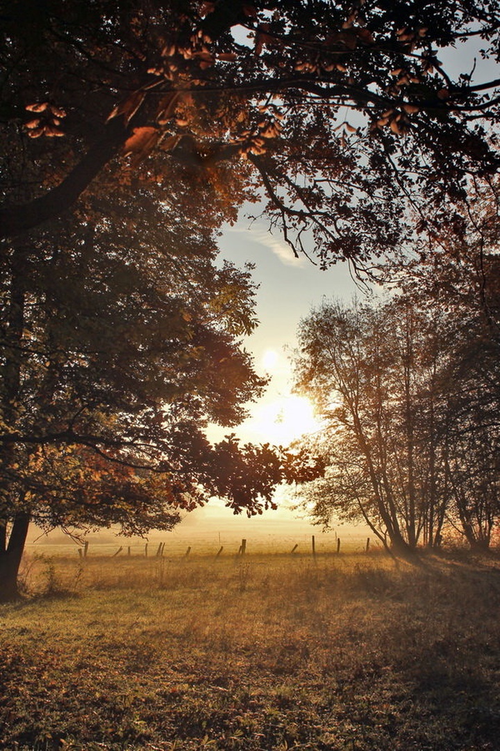 Oktoberska Renesansa by