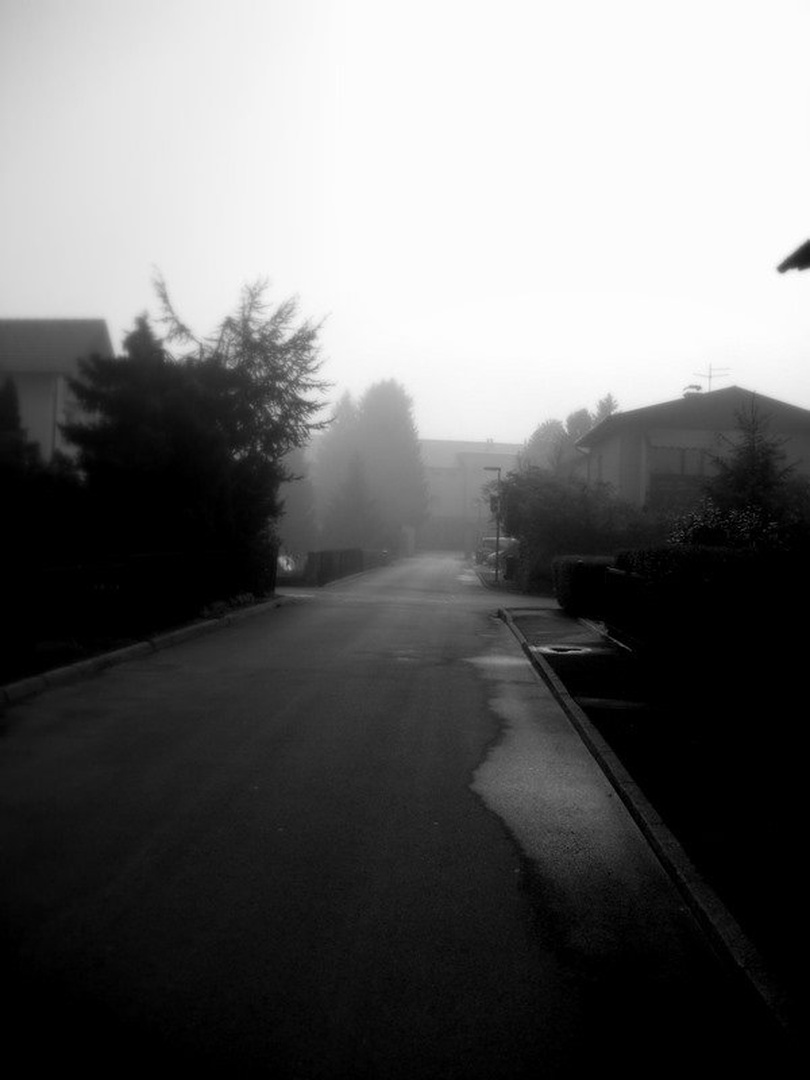 Megleno jutro by