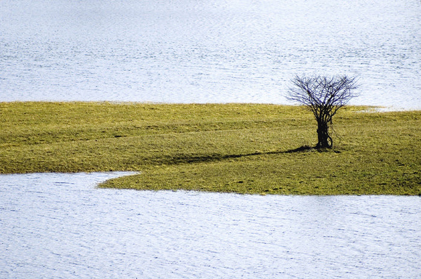 sad'n'lonley by Anže Miš