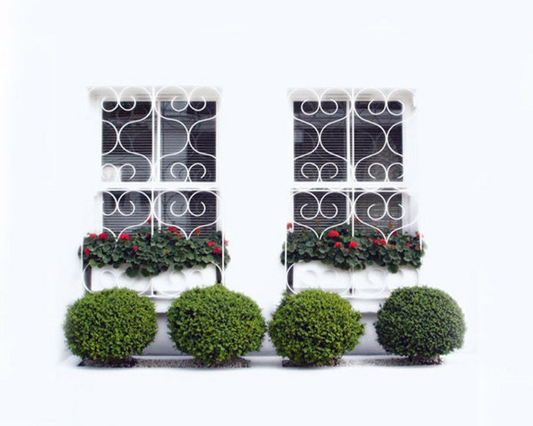 Windows by Anže Miš
