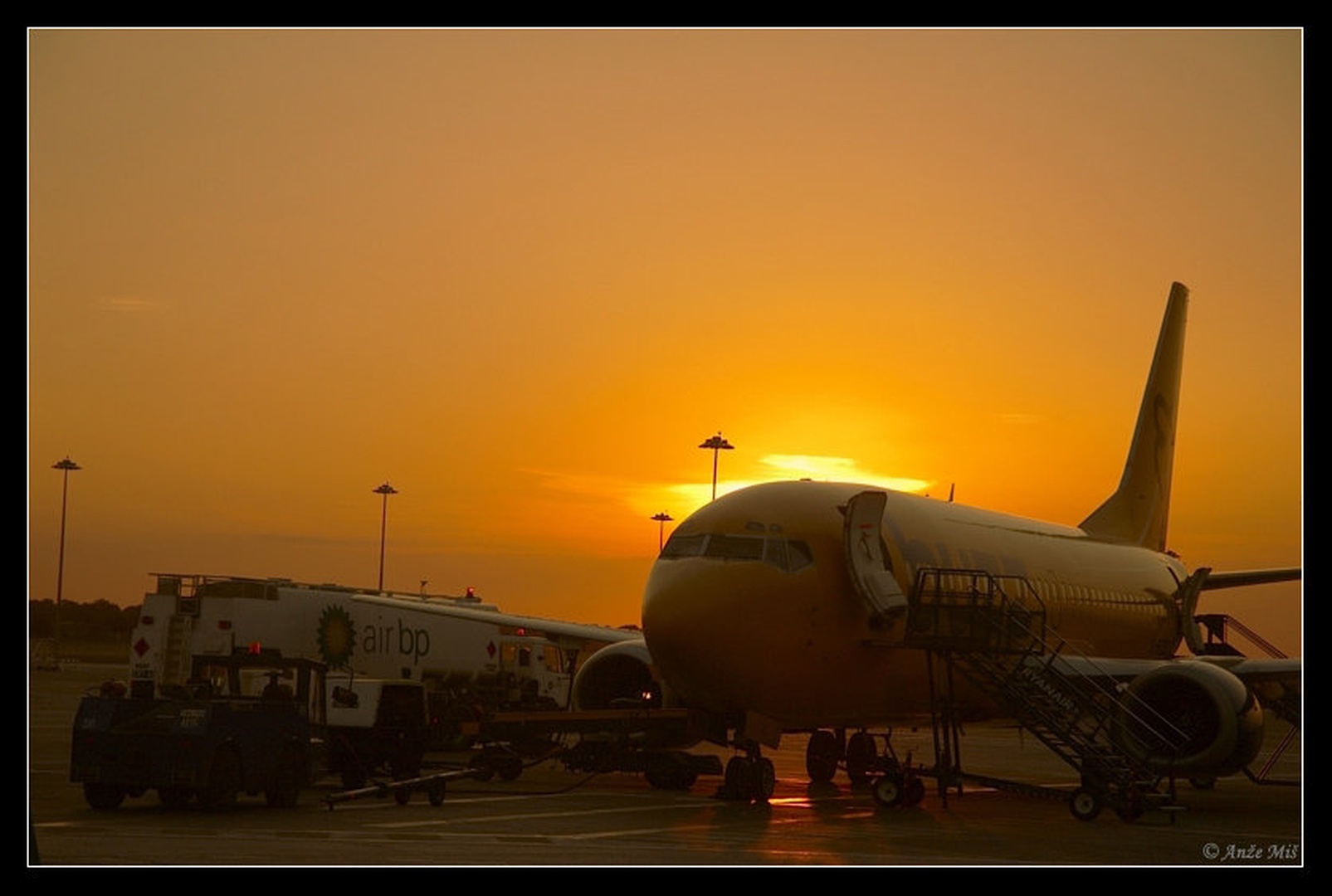 sunflight by Anže Miš