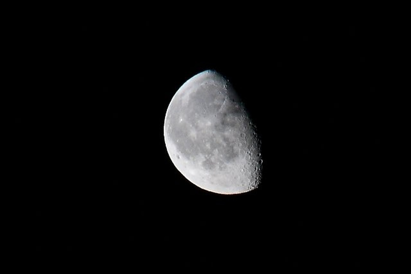 Luna sramežljiva by Damjan K