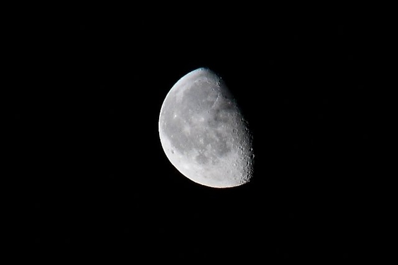 Luna sramežljiva by Damjan K