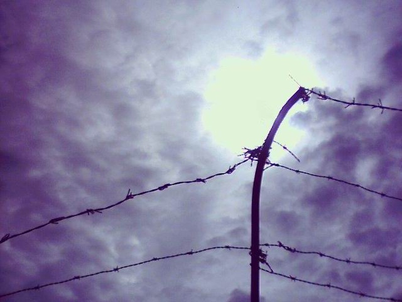 Freedom by JonDi