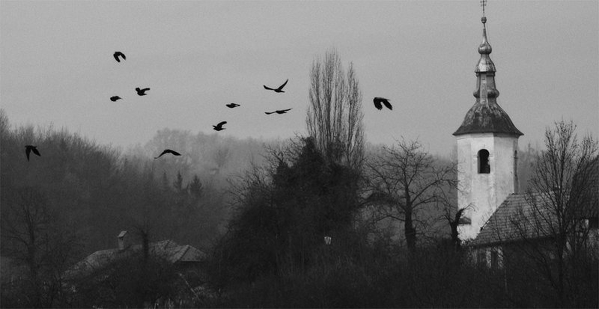 Can't find the title by Visult