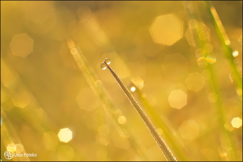 Lightshow by Uroš