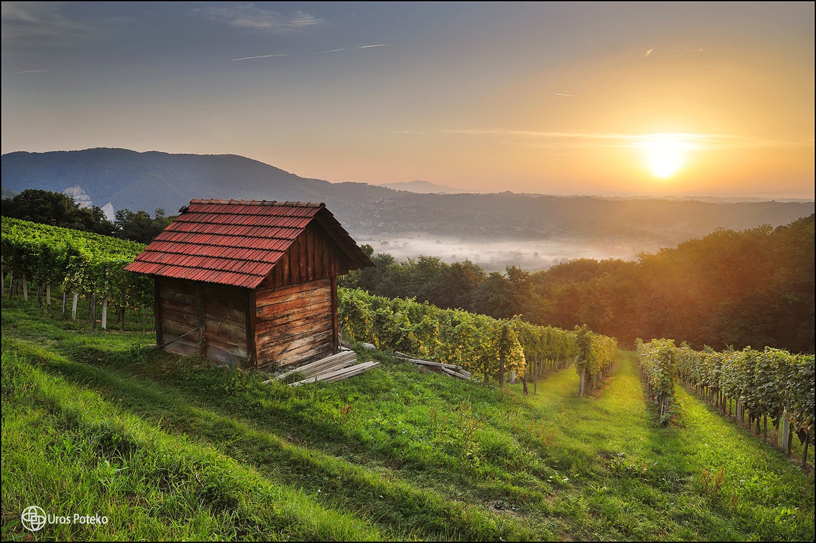 Hramček by Uroš