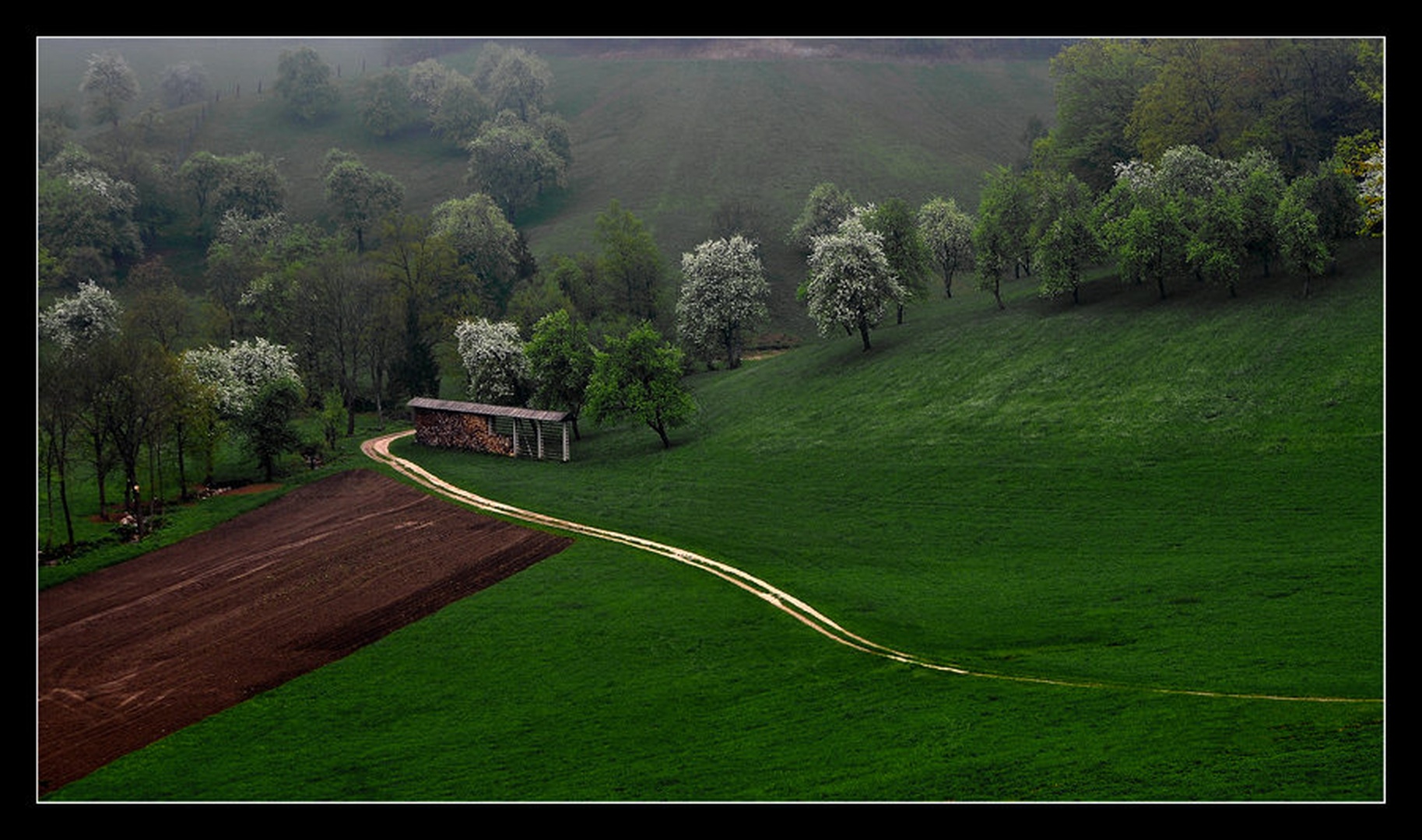 pomlad by Milojko Demšar
