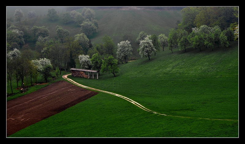 pomlad by Milojko Demšar