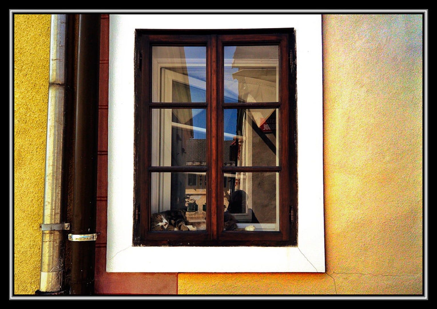 windows by Milojko Demšar