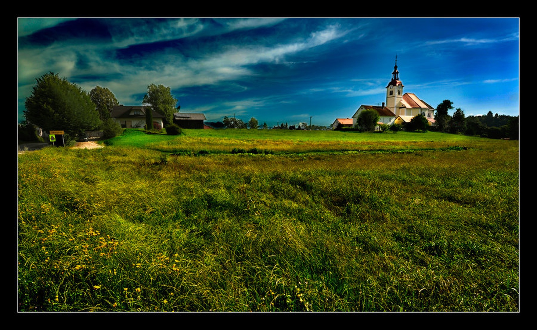 vasica Škaručna by Milojko Demšar