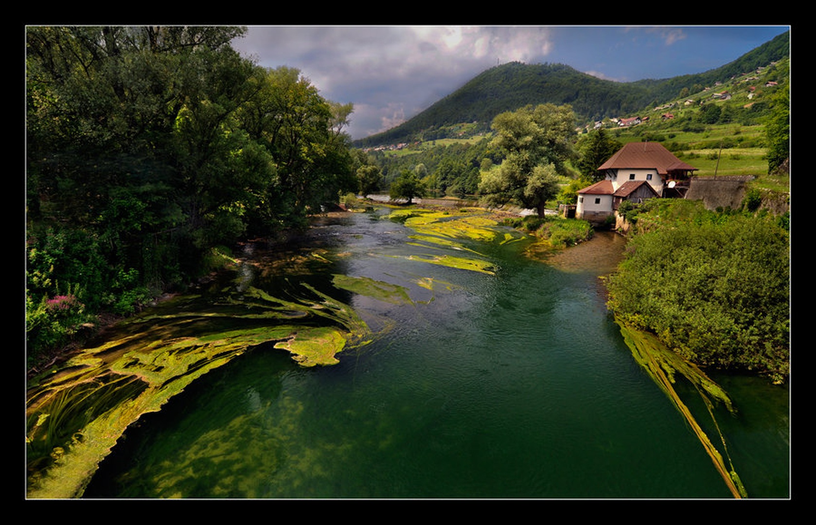 Krka by Milojko Demšar