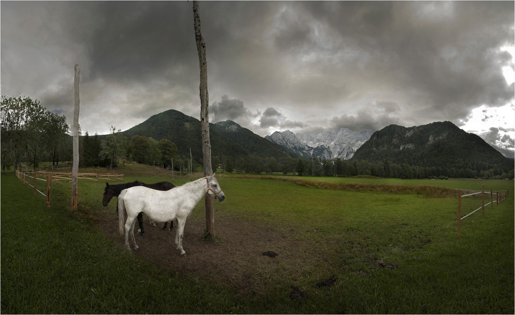 črno-belo by Milojko Demšar