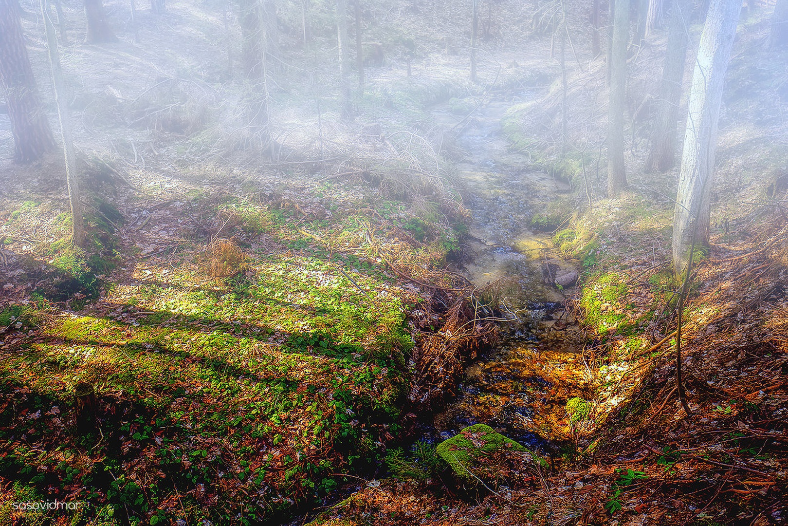 Touch Of Gold by