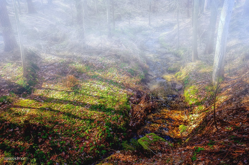 Touch Of Gold by fichte