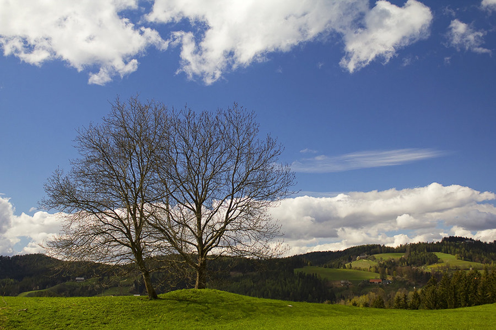 Zeleno, belo, modro... by